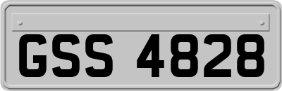 GSS4828