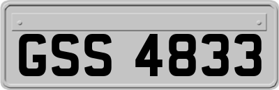 GSS4833