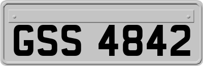 GSS4842