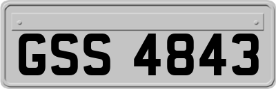 GSS4843