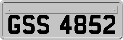GSS4852