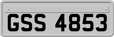 GSS4853