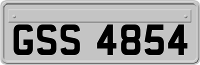 GSS4854
