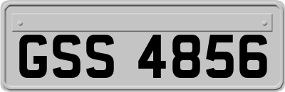 GSS4856