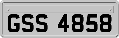GSS4858