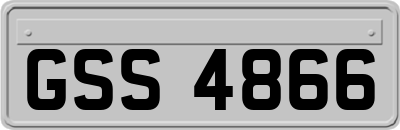 GSS4866