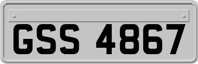 GSS4867