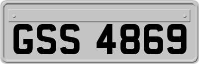 GSS4869