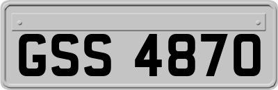 GSS4870