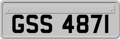 GSS4871