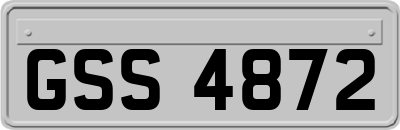 GSS4872