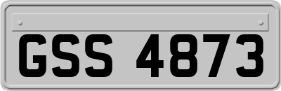 GSS4873
