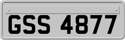 GSS4877