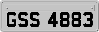 GSS4883
