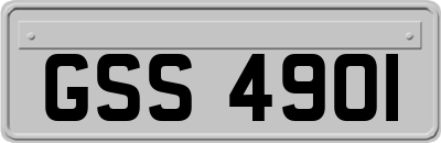 GSS4901