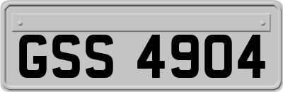 GSS4904