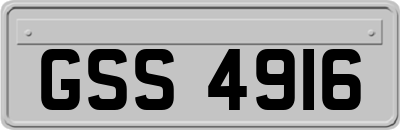 GSS4916