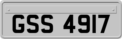 GSS4917