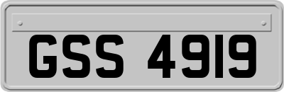 GSS4919