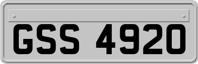 GSS4920