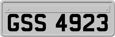 GSS4923