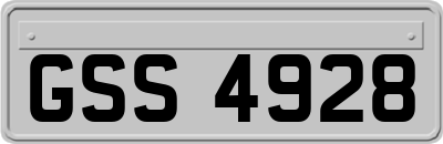 GSS4928