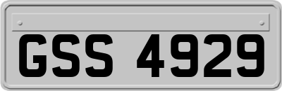 GSS4929