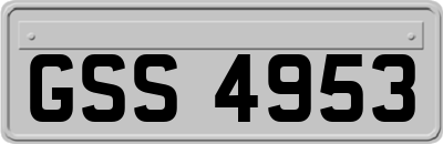 GSS4953