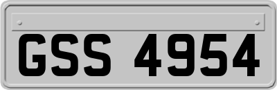 GSS4954