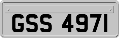 GSS4971