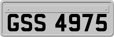 GSS4975