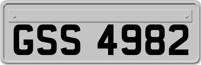 GSS4982