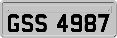 GSS4987