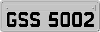 GSS5002