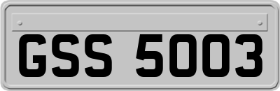GSS5003