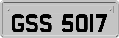 GSS5017