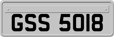 GSS5018