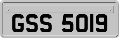 GSS5019
