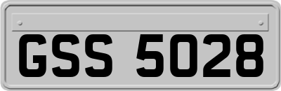 GSS5028