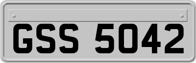 GSS5042