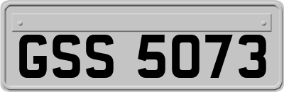 GSS5073