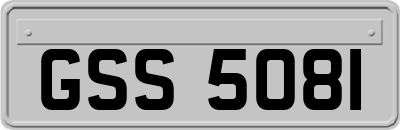 GSS5081