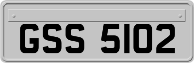 GSS5102