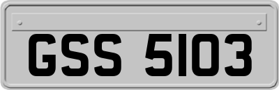 GSS5103