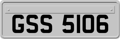 GSS5106