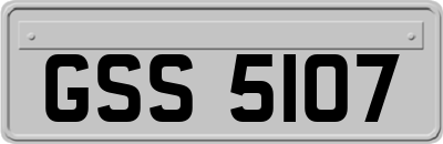 GSS5107