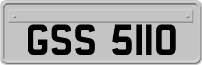 GSS5110