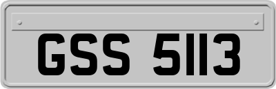 GSS5113