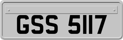 GSS5117