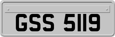 GSS5119